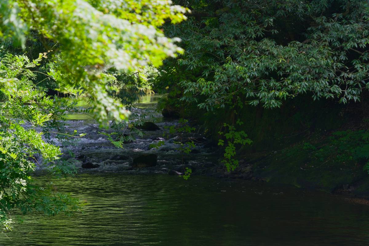 Relaxation Technique Stress Management What Are? Your Science-Backed Toolkit for Real Calm