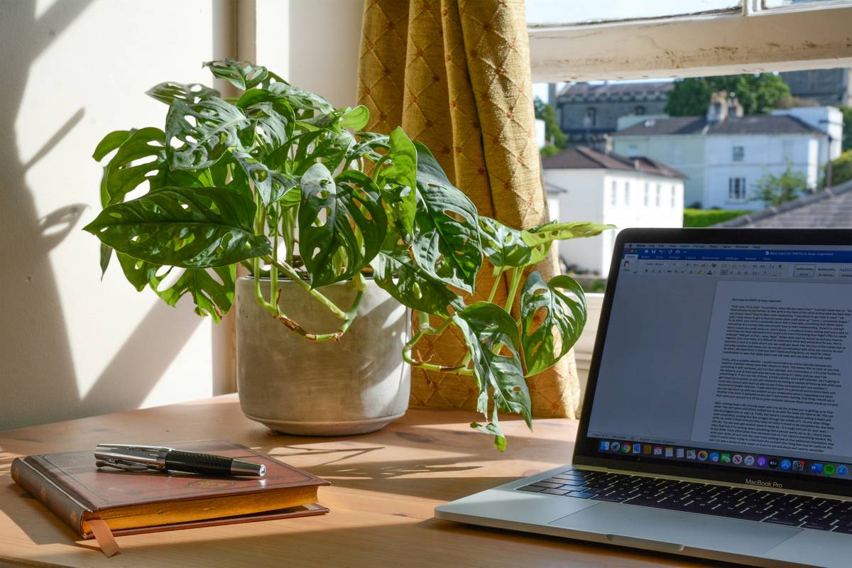 basic stress management techniques: What Actually Works When Everything Feels Like Too Much