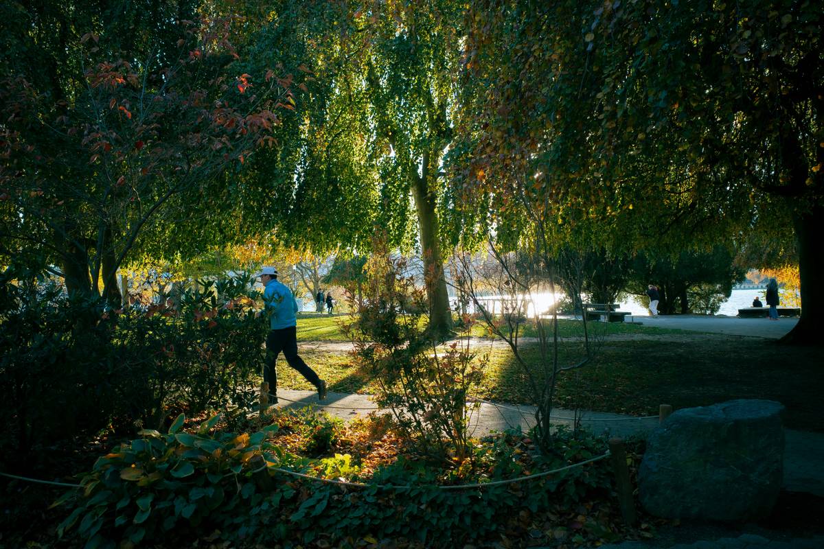 exercise to manage stress: woman doing yoga stretches in a sunlit park
